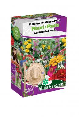 Mixture Annual Summerflowers Semi-Dwarf Maxi-Pack 125 m2
